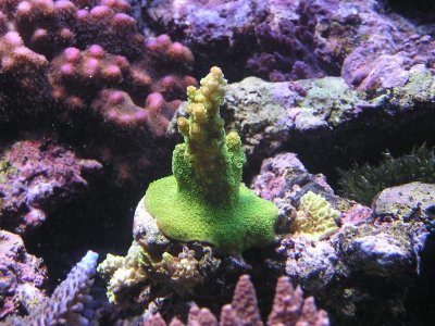 P1010289.jpg