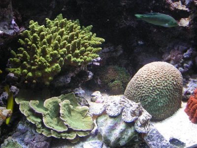 P1010290.jpg