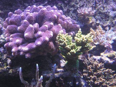 P1010292.jpg