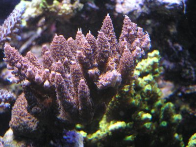 P1010293.jpg