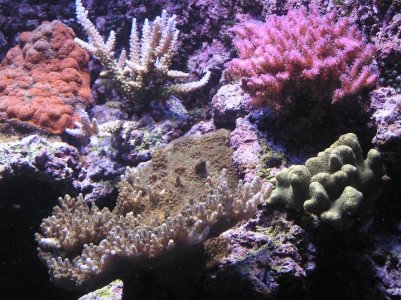 P1010299.jpg