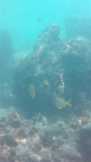 104_0021 (Medium).jpg