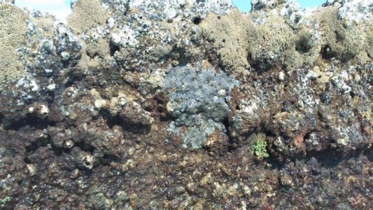 105_0042 (Medium).jpg