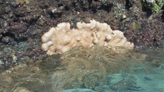 105_0041 (Medium).jpg