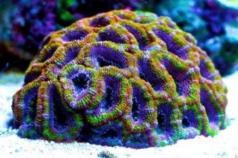 ImageUploadedByTapatalk1326260248.842541.jpg