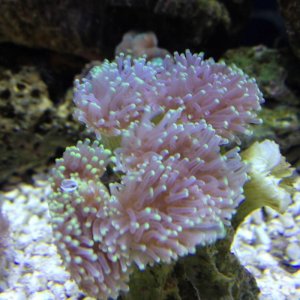 IMG_0164.jpg