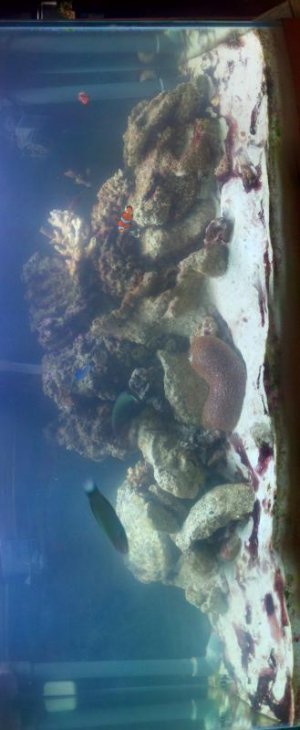 2012-01-11_17-34-52_675.jpg