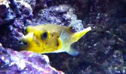 Screen shot 2012-01-11 at 5.59.22 PM.jpg