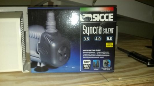 Secce Syncra 5 Pump.jpg