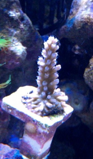 IMAG0348-2-1.jpg