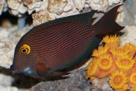 Copy of IMG_1327.jpg