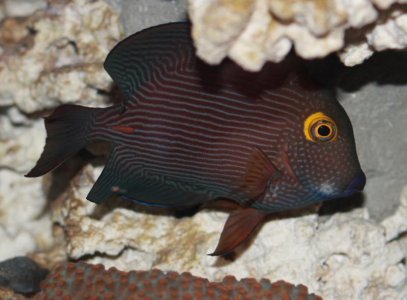 Copy of IMG_1330.jpg