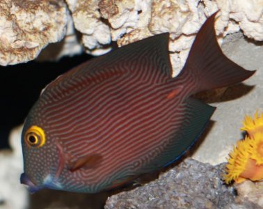 Copy of IMG_1339.jpg