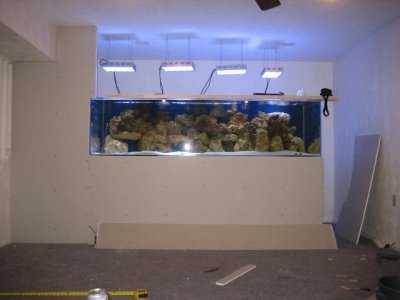 Tank Setup 10 New wall on left.jpg