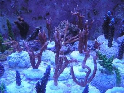 P1010307.jpg