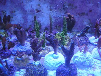 P1010308.jpg