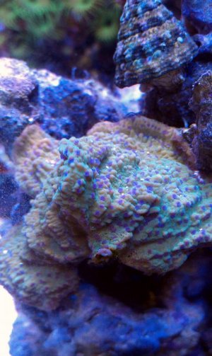 IMAG0390-1.jpg