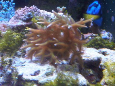 IMG-20120113-00392.jpg
