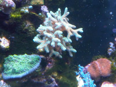 IMG-20120113-00393.jpg