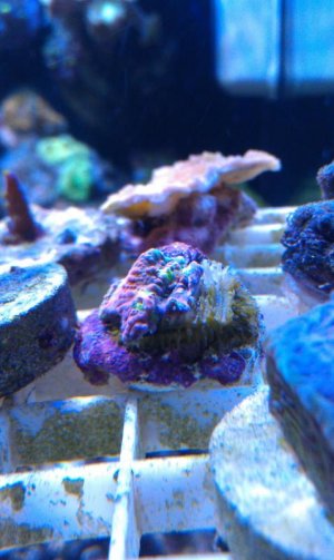 IMAG0396.jpg