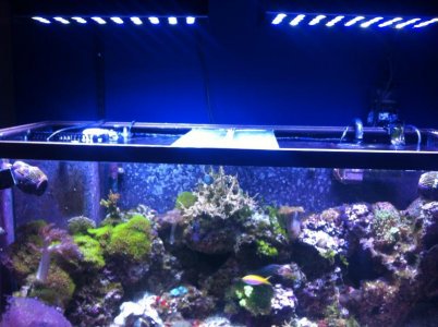 new leds.jpg