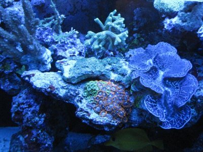IMG_1530.jpg