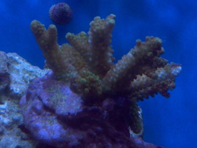 IMG_20120105_185915.jpg