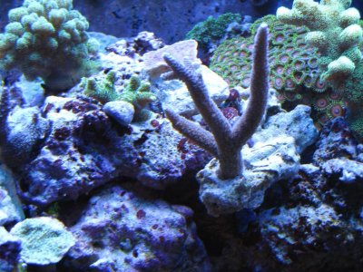 IMG_1578.jpg