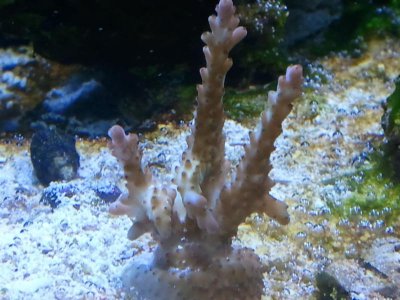 WP_000084.jpg