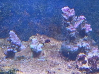 WP_000378.jpg