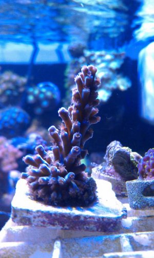 IMAG0386.jpg