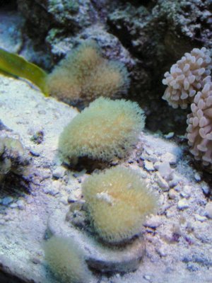 DSC01497 (2).jpg