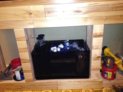 IMG_3236.jpg