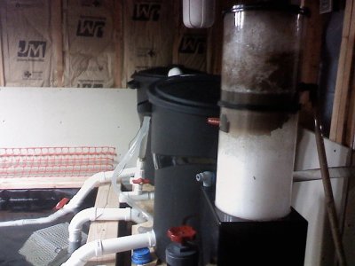 l skimmer filter.jpg