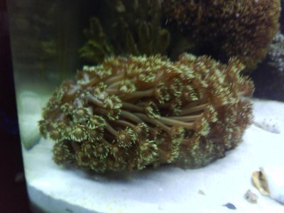 IMG_20120115_110819.jpg