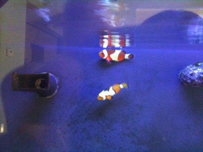 photo (121).jpg