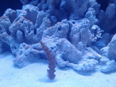 IMG024.jpg