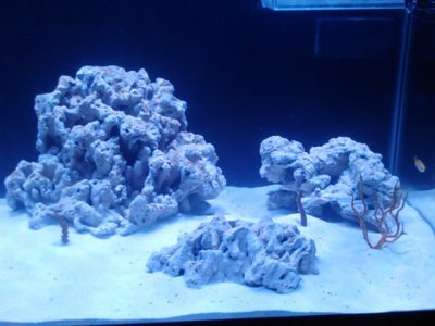 IMG029.jpg