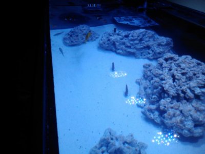 IMG032.jpg