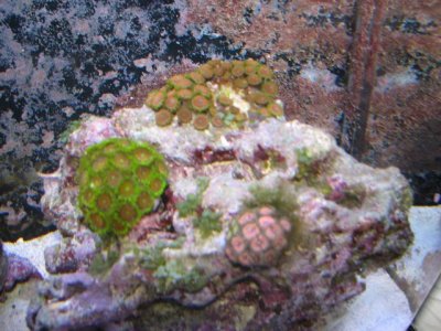 IMG_1253.jpg