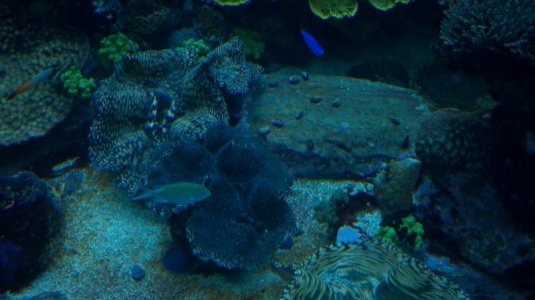 2012-01-16_14-29-50_721.jpg