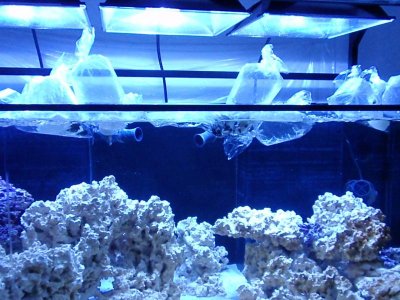 CUC Bags Floating.jpg