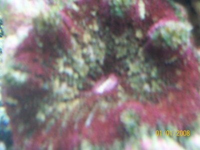 102_1233.jpg