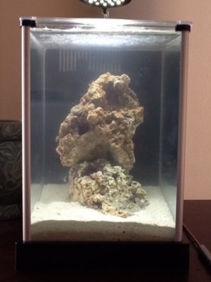 ImageUploadedByTapatalk HD1327982781.352940.jpg