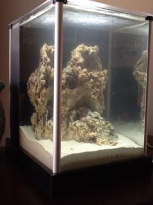 ImageUploadedByTapatalk HD1327982803.876245.jpg