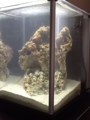 ImageUploadedByTapatalk HD1327982817.075421.jpg