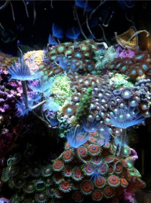 Screen shot 2012-01-31 at 2.32.19 PM.jpg