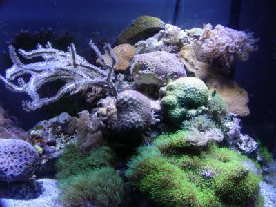 DSCN0209.jpg