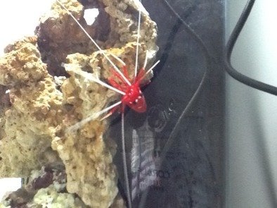 ImageUploadedByTapatalk HD1328219838.942690.jpg