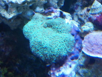 C360_2012-01-20-16-41-41.jpg